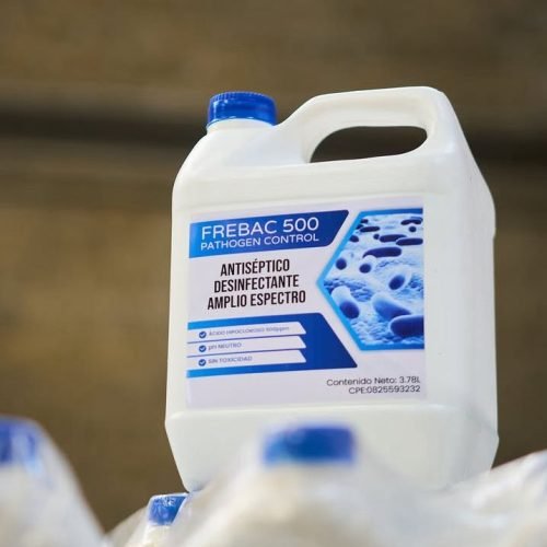 whatsapp image 2026 02 03 at 11.24.35