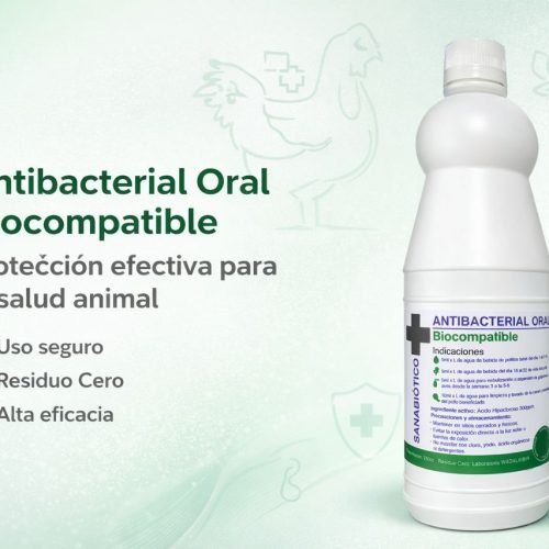 whatsapp image 2026 02 03 at 11.55.39